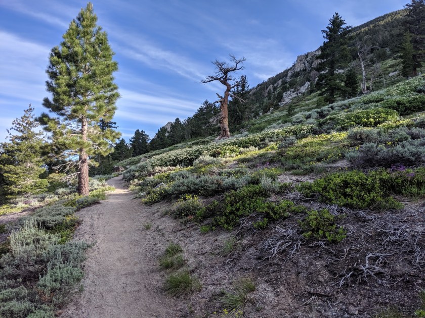 6D08195B-D09F-499B-8F83-92146BBA6397